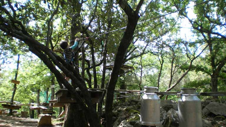 Parcours accrobranche pour les enfants