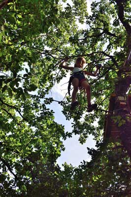 Enfant dans les arbres