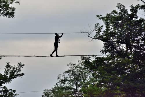 Pont suspendu dans les arbres