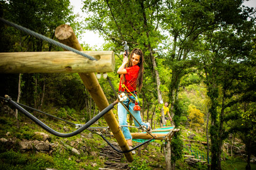 Un pont suspendu dans les arbres